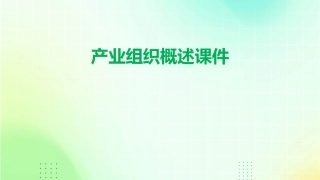 产业组织概述课件