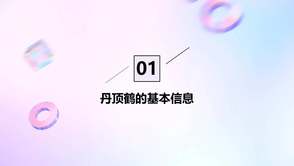 丹顶鹤的故事课件_第3页