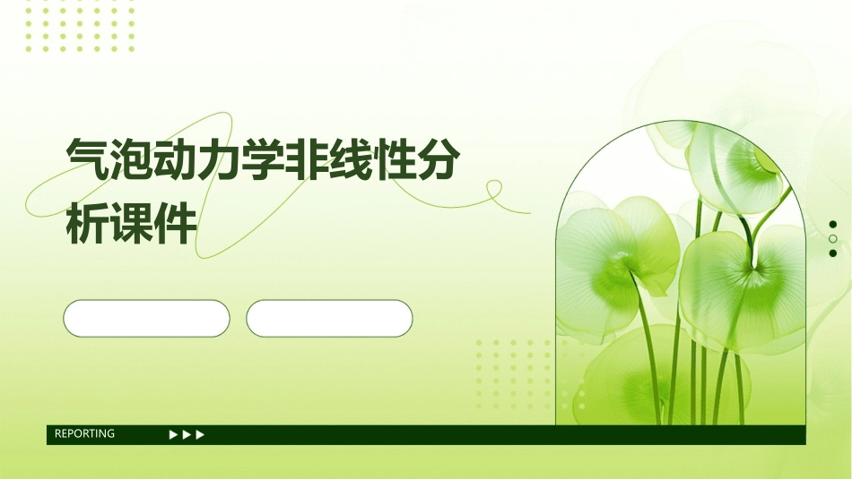 气泡动力学非线性分析课件_第1页