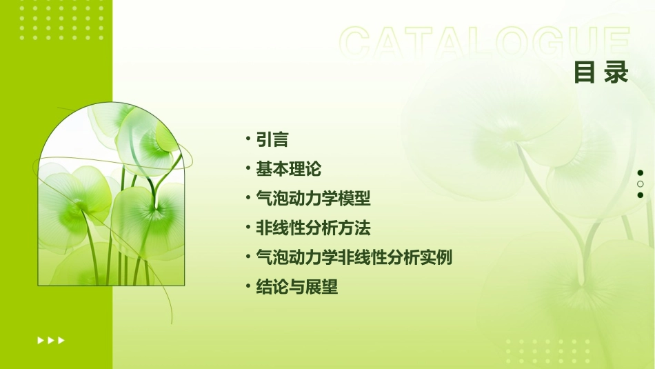 气泡动力学非线性分析课件_第2页