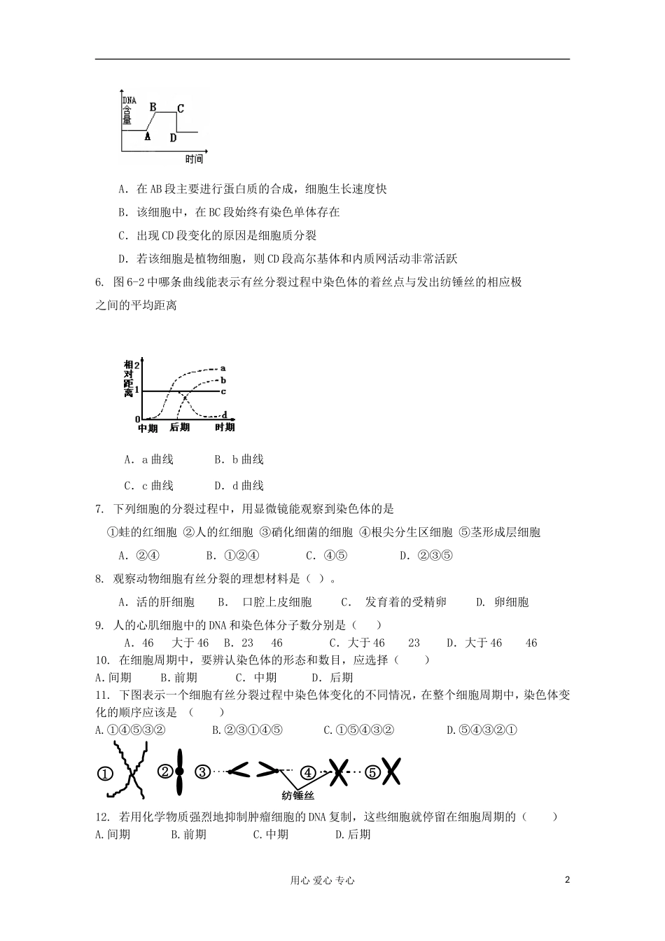 高中生物-6.1细胞的增殖课时练3-新人教版必修1_第2页