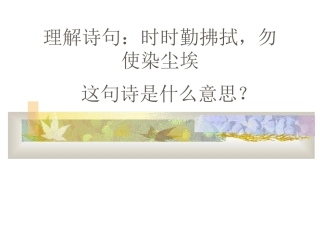 9《假如没有灰尘》PPT课件