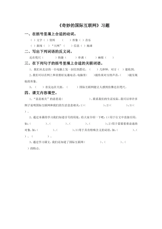 《奇妙的国际互联网》习题