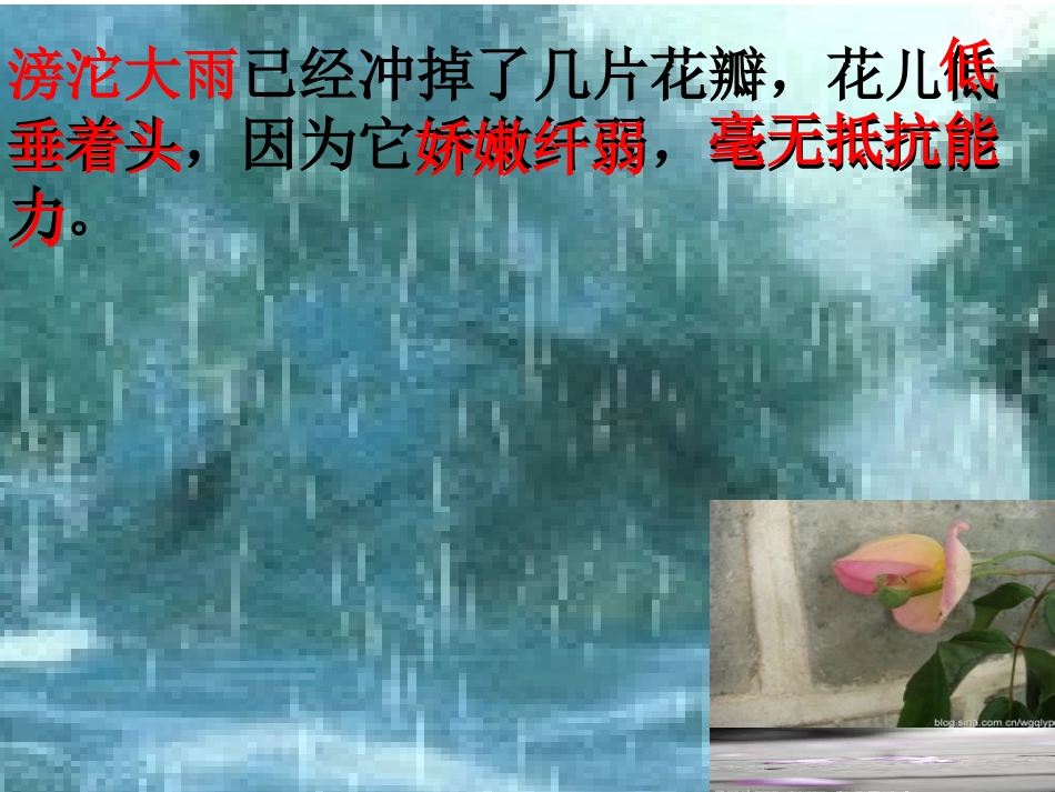 苏教版四年级语文《我不是最弱小的》PPT课件_第3页