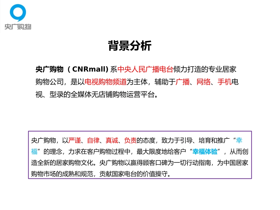 购物网站网络营销推广方案_第3页