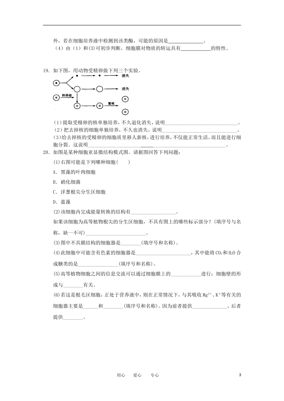 2012高一生物-3.2细胞的类型和结构28每课一练-苏教版必修1_第3页