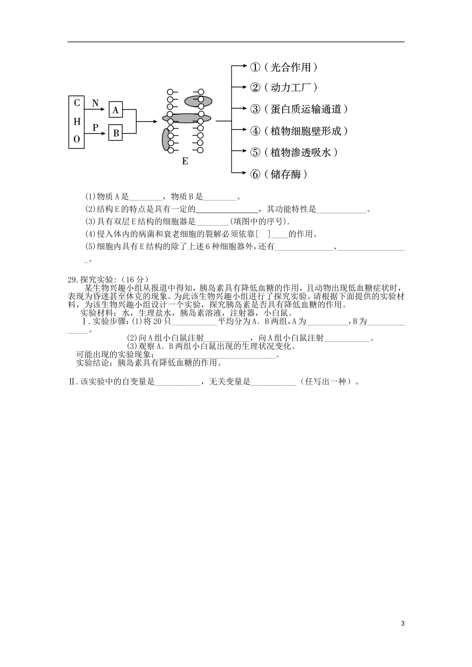 安徽省泗县2012-2013学年高一生物上学期第二次月考(无答案)_第3页