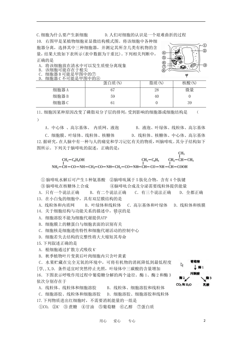 浙江省新安江2012-2013学年高二生物上学期期中考试试题浙科版_第2页