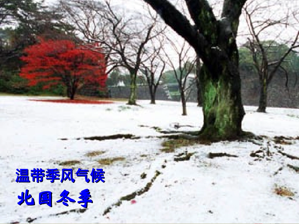 浙江省泰顺县新城学校2012-2012学年八年级地理下册《季风的影响》课件1-新人教版_第2页