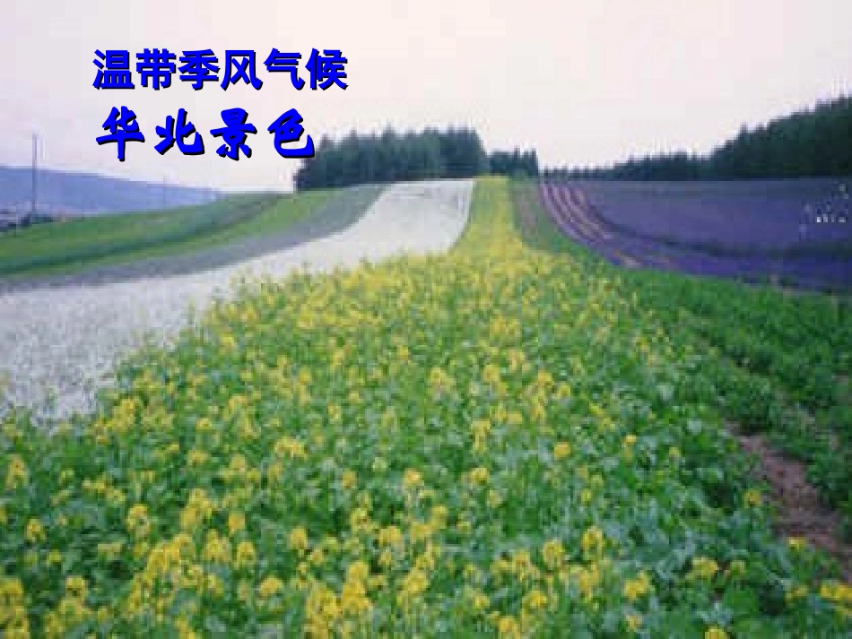 浙江省泰顺县新城学校2012-2012学年八年级地理下册《季风的影响》课件1-新人教版_第3页