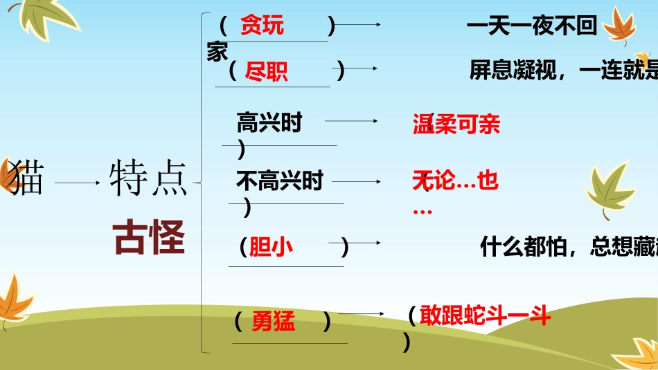 6.我们家的猫_第3页
