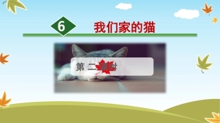 6.我们家的猫