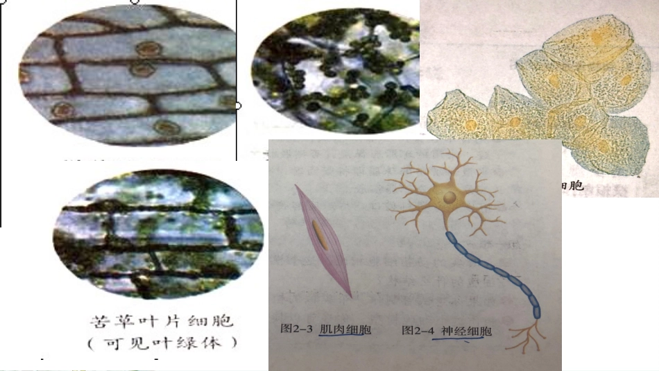 科学家访谈-探索生物大分子的奥秘-(2)_第3页