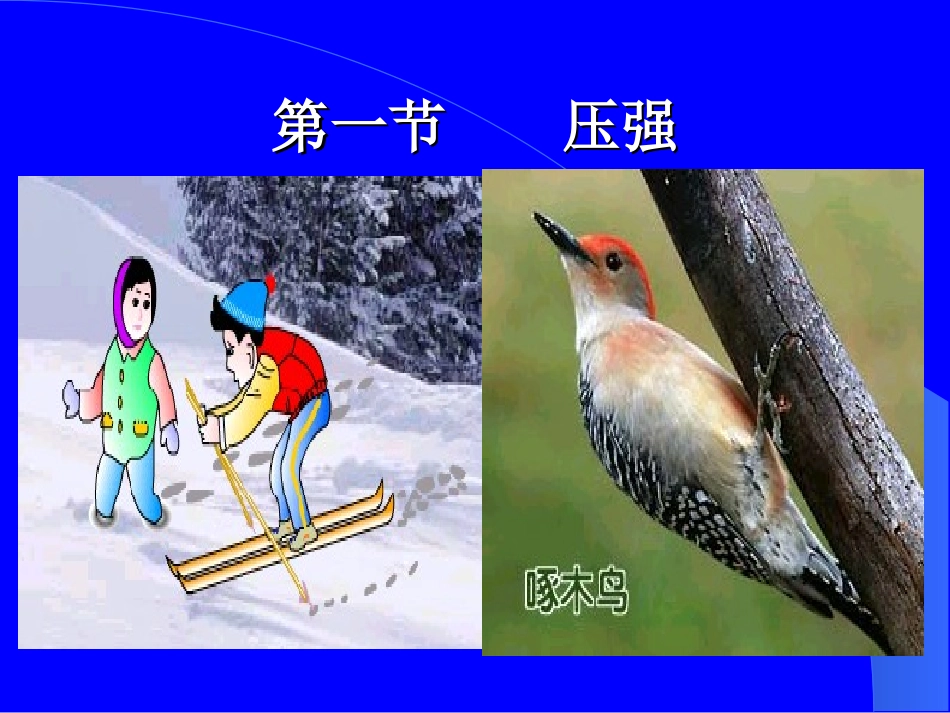 八年级物理第八章第1节压强_第3页