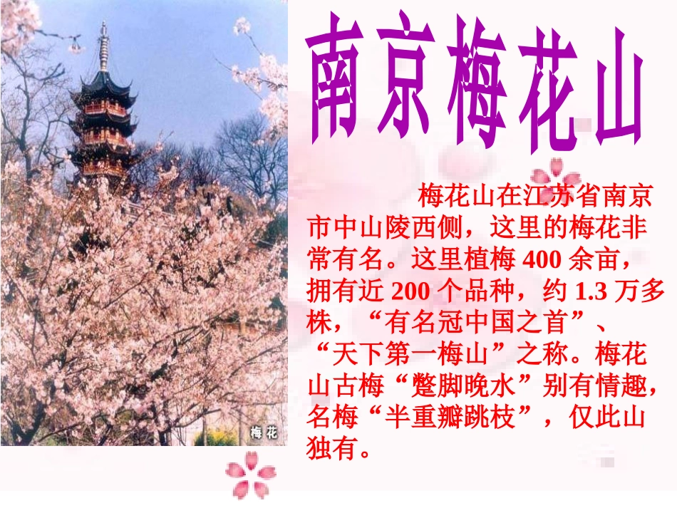 04春到梅花山_第2页