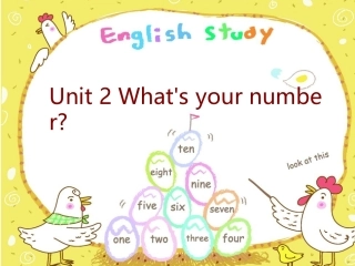外研版七年级英语上册《Unit-2-What's-your-number》课件