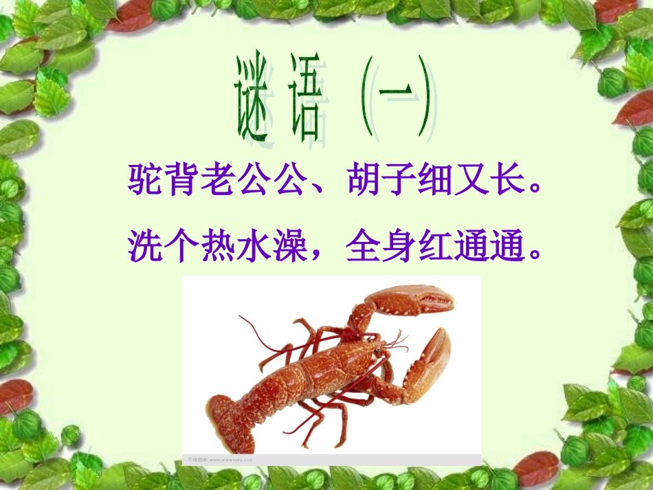13.虾和蟹(一)-教学课件_第1页