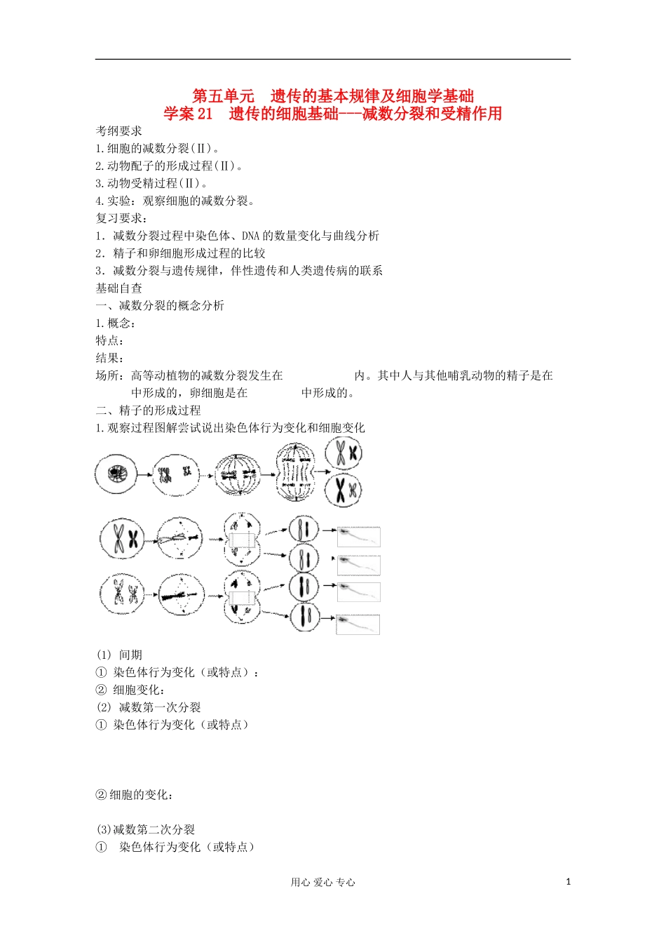 2013届高考生物起点一轮复习-第五单元-遗传的细胞基础--减数分裂和受精作用学案_第1页