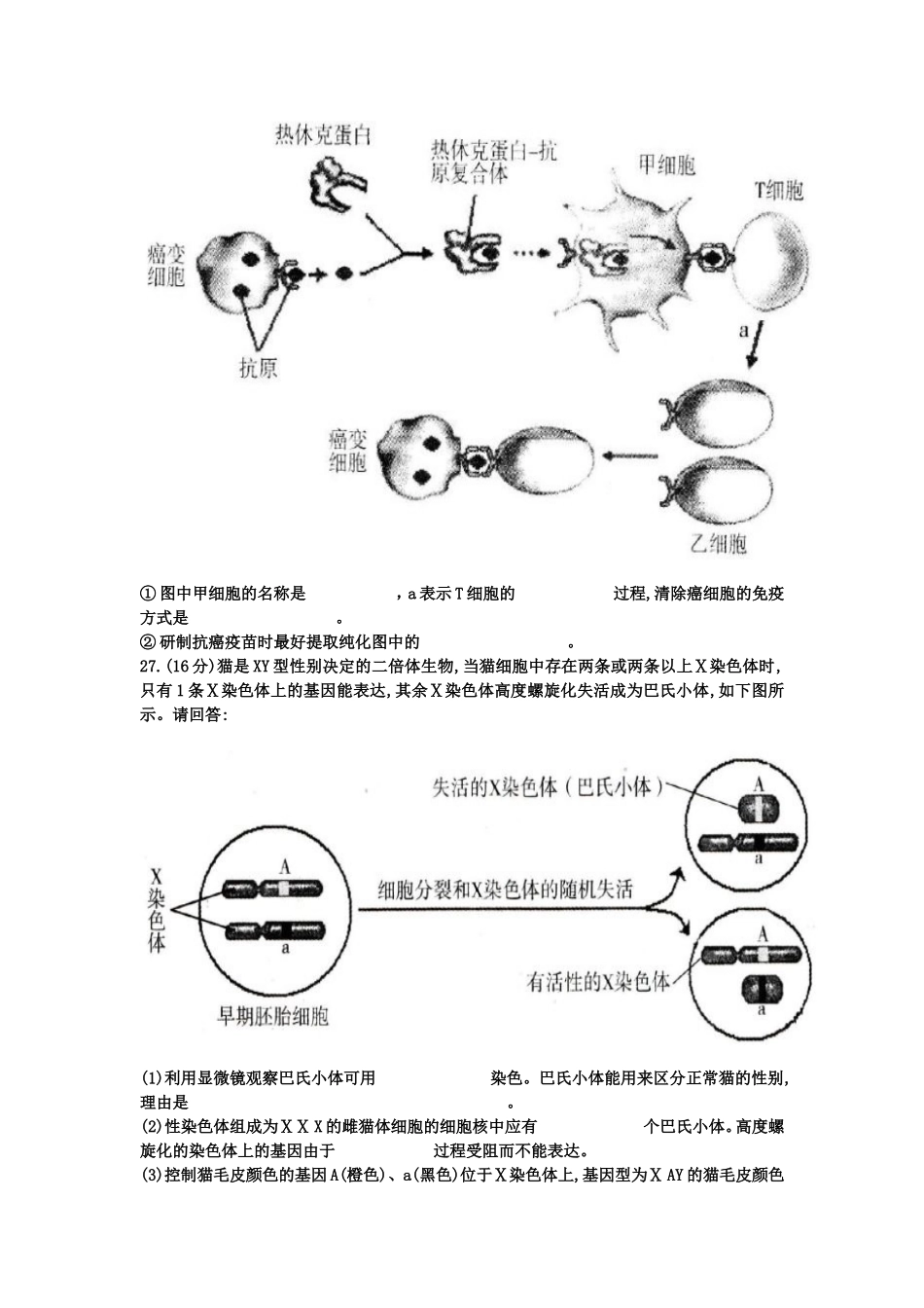 2011年广州一模理综(生物)试题及答案_第3页