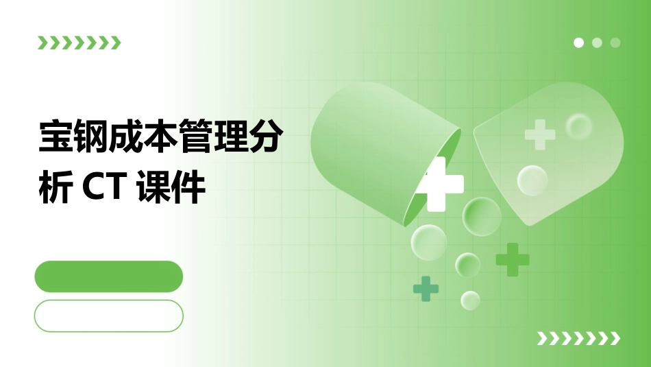 宝钢成本管理分析ct课件_第1页