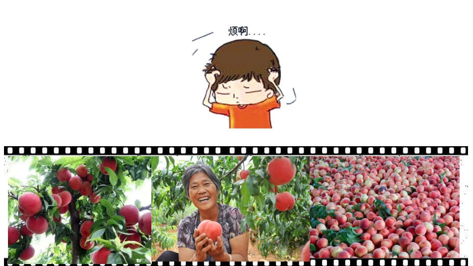 【实验】果胶酶的制作及对苹果匀浆的作用_第2页