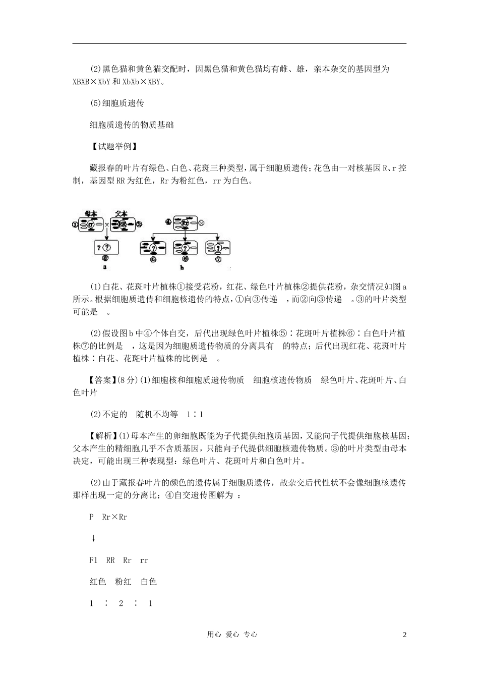 高中生物《分离定律》学案4-浙教版必修2_第2页
