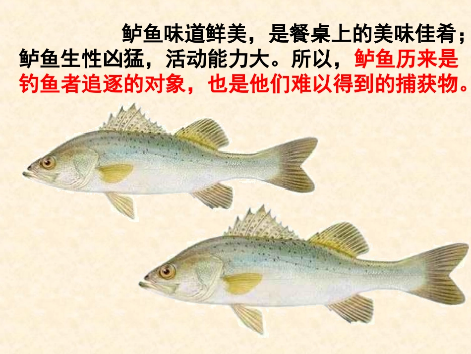 北师大版四上钓鱼的启示[1]_第3页