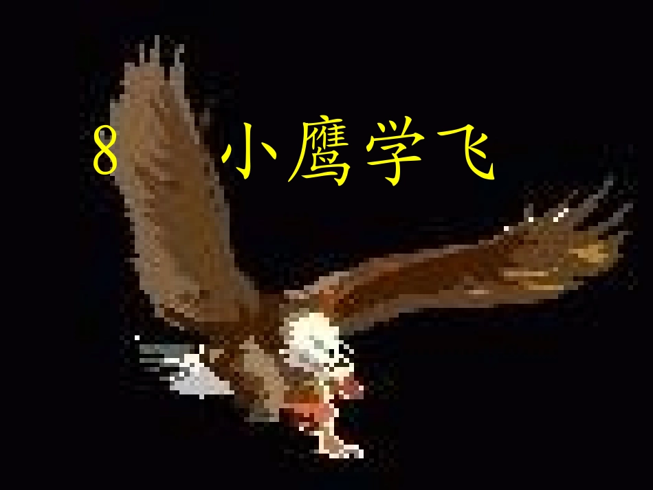 8、小鹰学飞PPT7_第2页