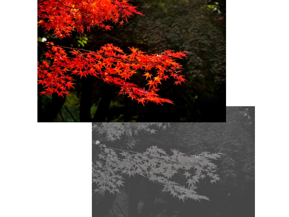 人美版小学五年级美术上册课件《色彩的色相》课件-_第1页