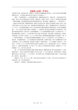高中语文-老屋树上的那一声鸟叫作文素材