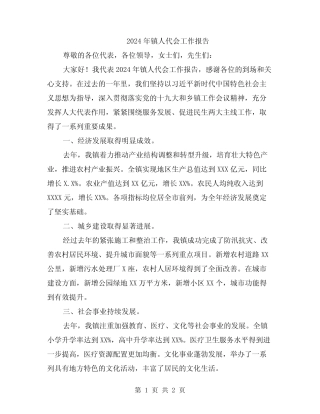 2024年镇人代会工作报告 