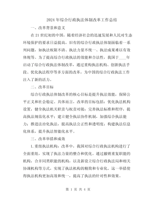 2024年综合行政执法体制改革工作总结 