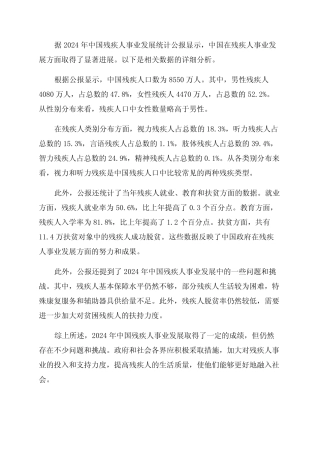 2024年中国残疾人事业发展统计公报 