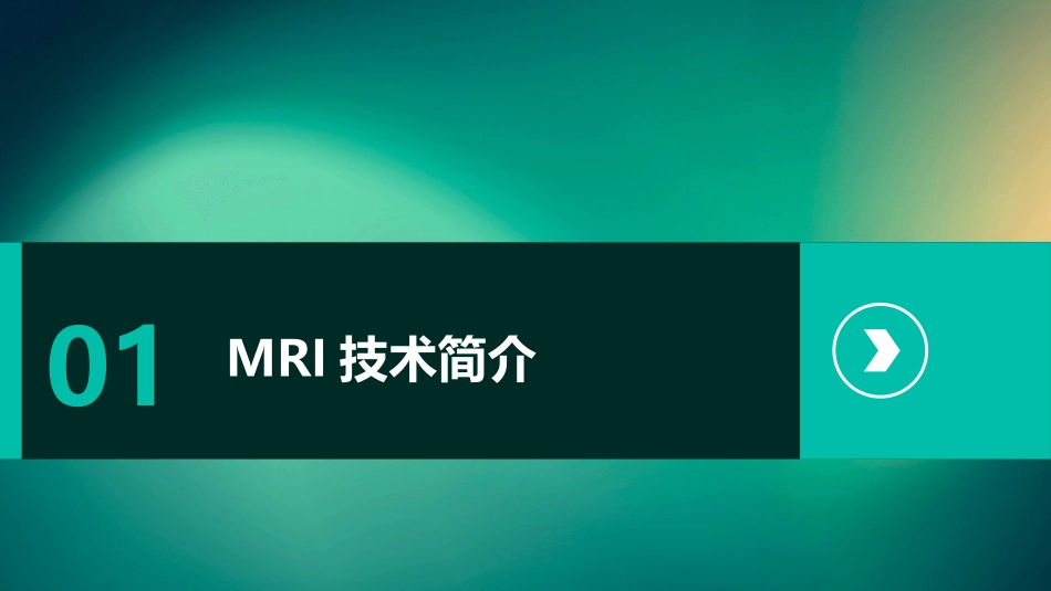 MRI下眼部及鼻窦解剖图谱护理课件_第3页
