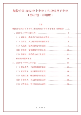 城投公司2023年上半年工作总结及下半年工作计划(详细版)