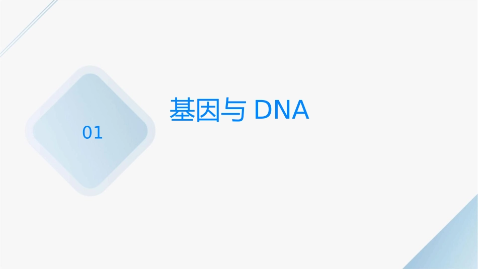 二轮复习遗传的分子基础课件1_第3页
