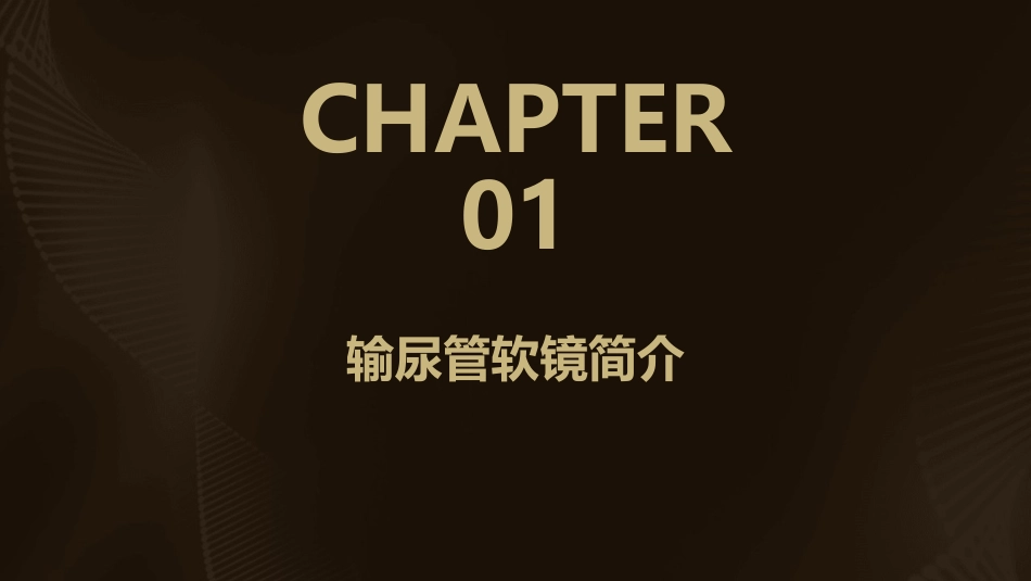 输尿管软镜使用与维护护理课件_第3页