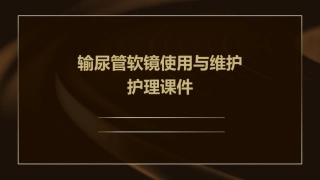 输尿管软镜使用与维护护理课件