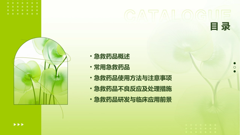 常用急救药品知识通用课件_第2页