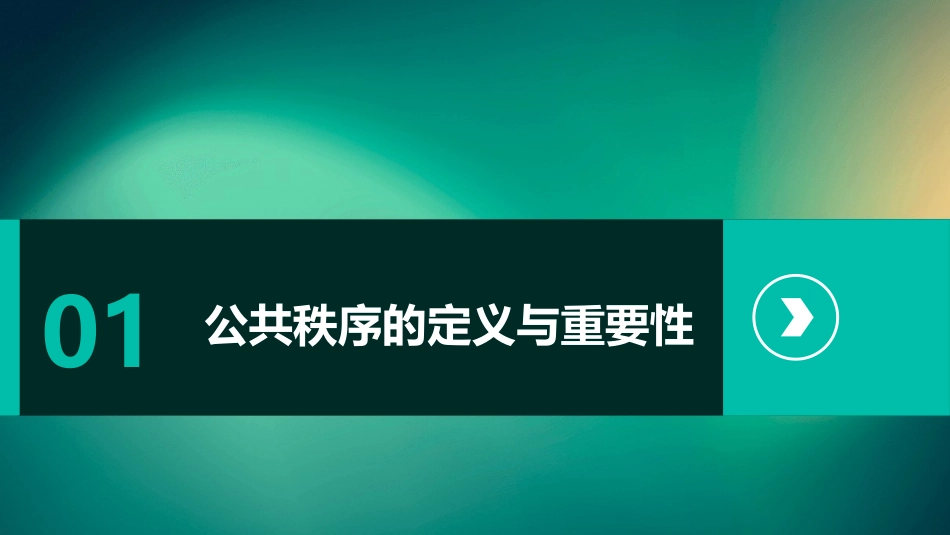 享受公共秩序的阳光课件_第3页