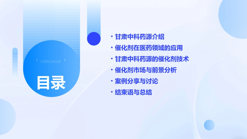 催化剂会议甘肃中科药源课件_第2页
