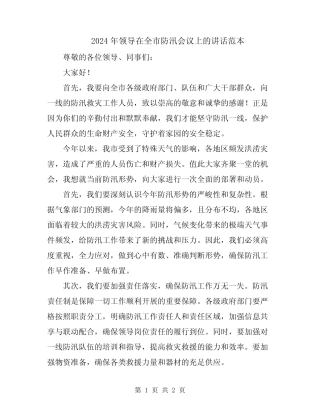 2024年领导在全市防汛会议上的讲话范本