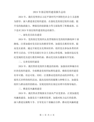 2024年基层组织建设报告总结 
