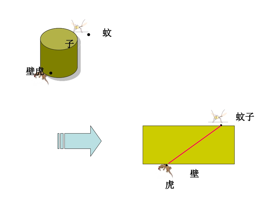 124七年级上册数学课件华东师大版——立体图形的平面展开图[免费下载]_第3页