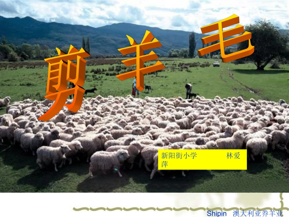 《剪羊毛》课件(新阳街小学校林爱萍)_第2页
