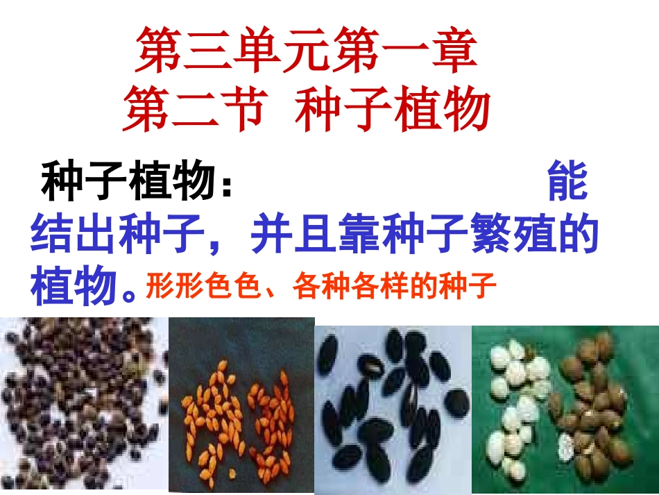 第一章第二节种子植物_第1页