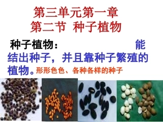 第一章第二节种子植物
