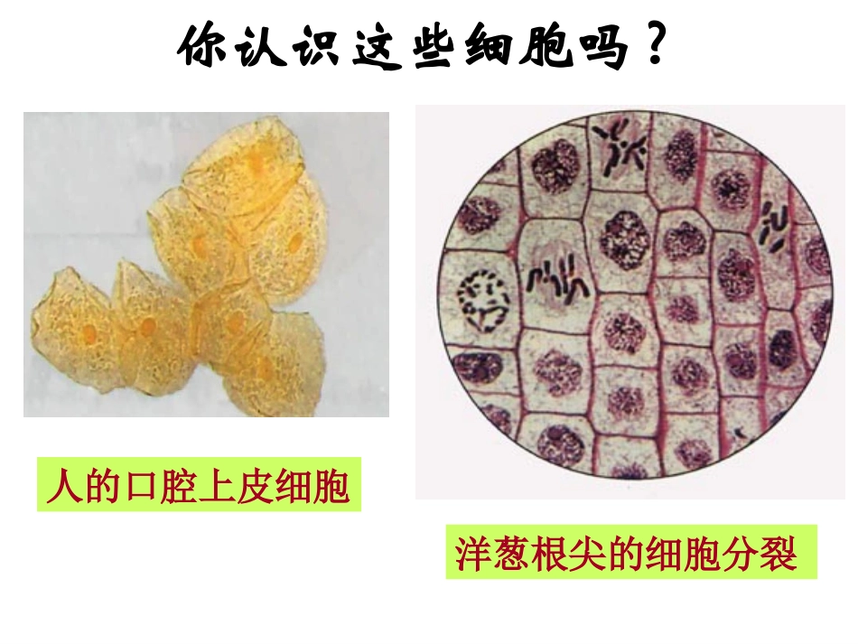 科学家访谈-探索生物大分子的奥秘-(3)_第2页