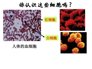 科学家访谈-探索生物大分子的奥秘-(3)