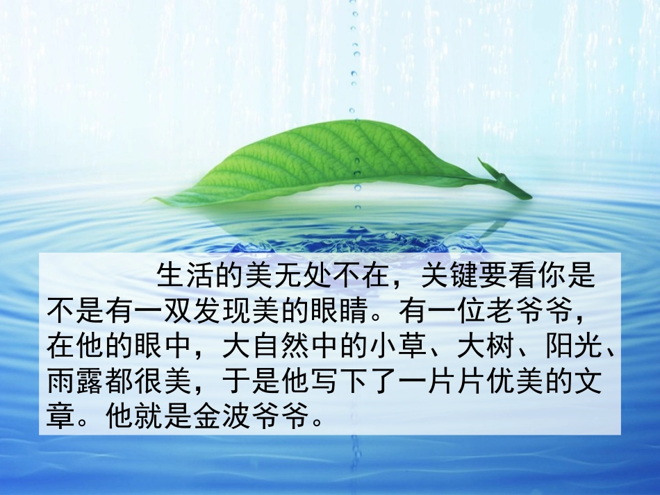4、做一片美的叶子_第1页